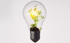 Green Business Award 2018