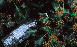 Why We Recycle with the Green Salon Collective